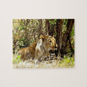 Lioness Puzzle