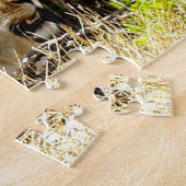 Lioness Puzzle (Seite)