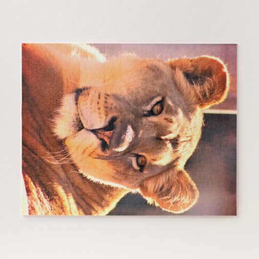 Lioness Puzzle (Horizontal)