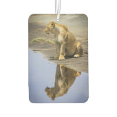 Lioness Reflection Air Freshener Autolufterfrischer (Rückseite)