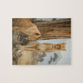 Lioness-Regeln Puzzle (Horizontal)