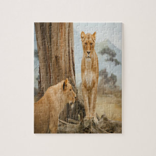 Lioness-Regeln Puzzle