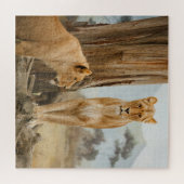 Lioness-Regeln Puzzle (Horizontal)