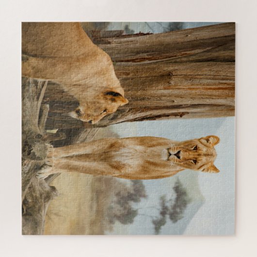 Lioness-Regeln Puzzle (Horizontal)