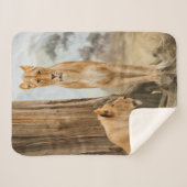 Lioness-Regeln Sherpadecke (Vorderseite (Horizontal))