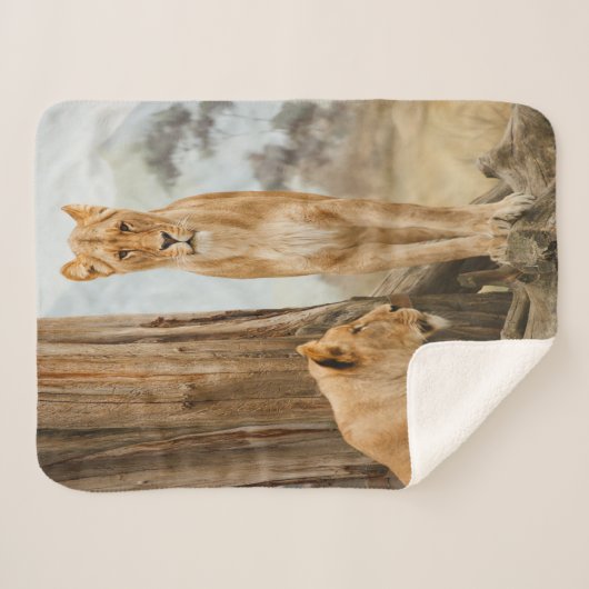 Lioness-Regeln Sherpadecke (Vorderseite (Horizontal))