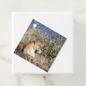 Lioness resting geschenkanhänger (Beispiel)