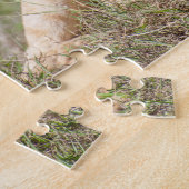 Lioness Roaring Puzzle (Seite)