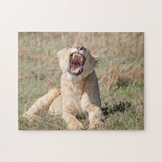 Lioness Roaring Puzzle (Horizontal)