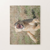 Lioness Roaring Puzzle (Vertikal)