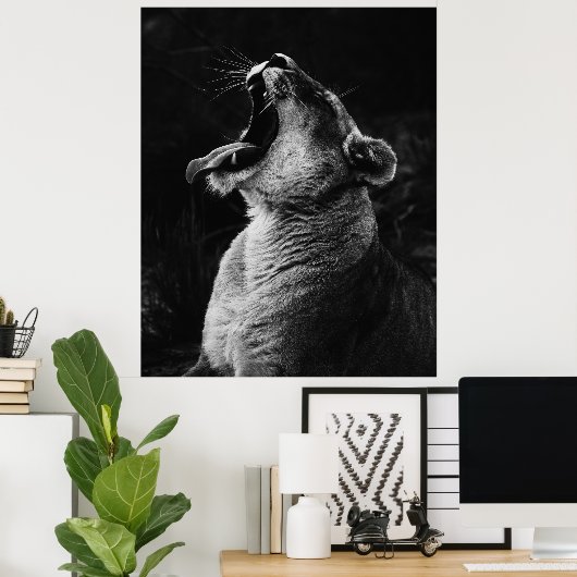 Lioness - Schwarz-Weiß-Foto Poster (Heimbüro)