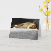 Lioness Sleeping Grußkarte Karte (Gelbe Blume)