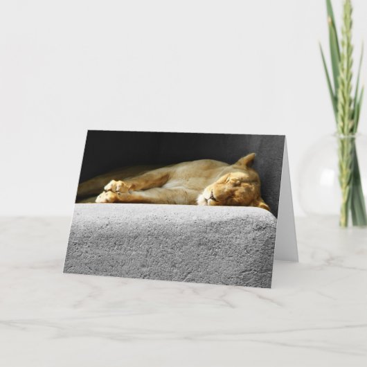 Lioness Sleeping Grußkarte Karte (Vorderseite)