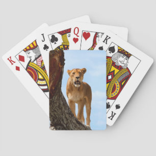 Lioness Spielkarten