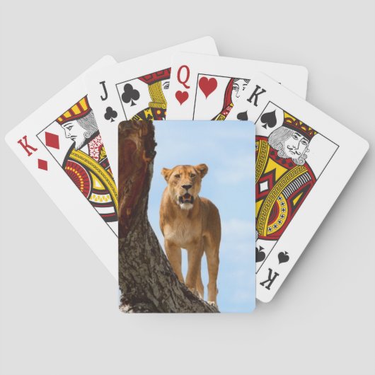 Lioness Spielkarten (Rückseite)