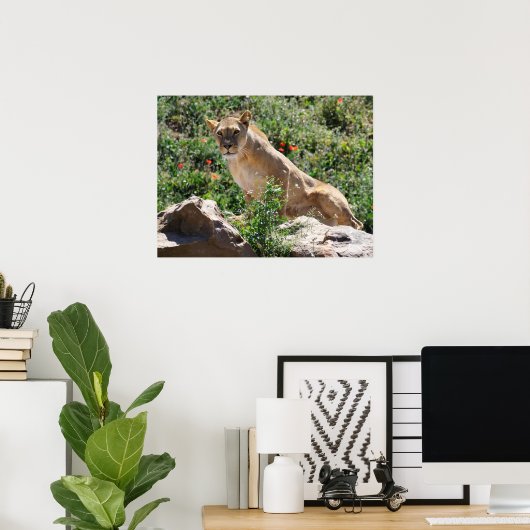 Lioness stehend poster (Heimbüro)