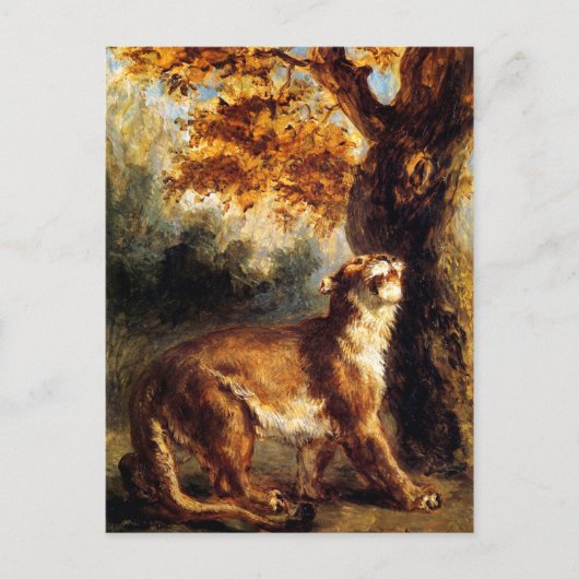 Lioness sticht sie postkarte (Vorderseite)