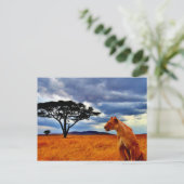 Lioness Storm Postkarte (Stehend Vorderseite)