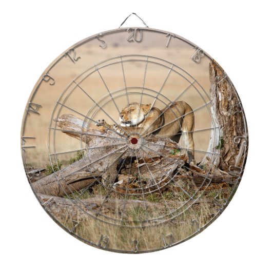 Lioness stretching dartscheibe (vorne)