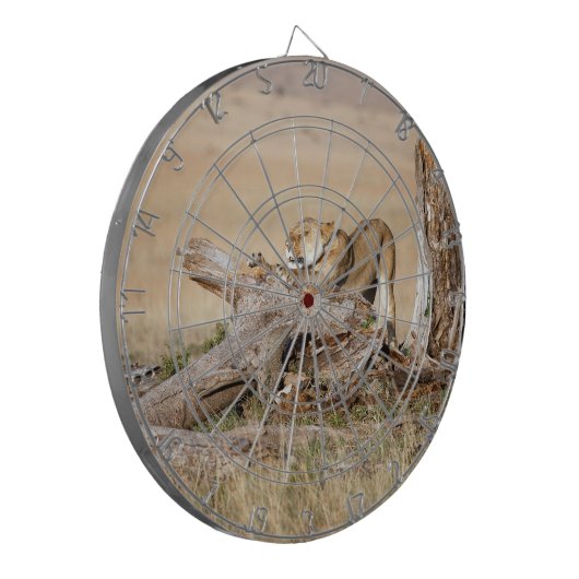 Lioness stretching dartscheibe (Vorderseite Links)