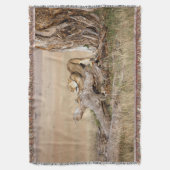 Lioness stretching decke (Vorderseite Vertikal)