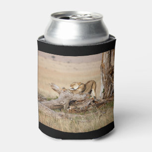 Lioness stretching dosenkühler