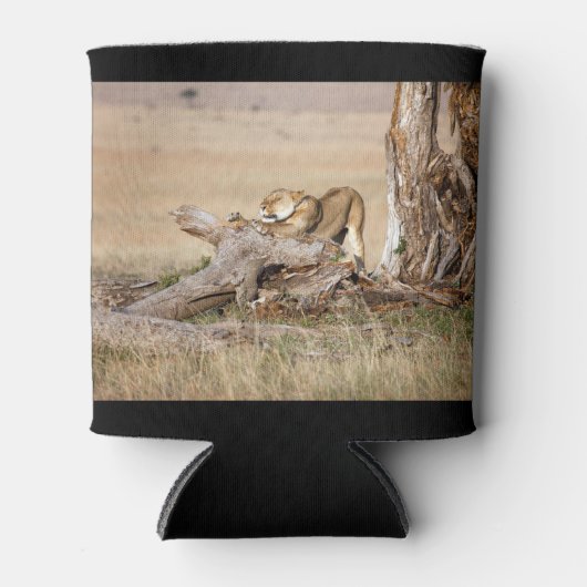 Lioness stretching dosenkühler (Vorderseite)