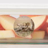 Lioness stretching etiketten (Befestigt)