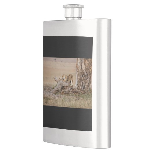 Lioness stretching flachmann (Links)