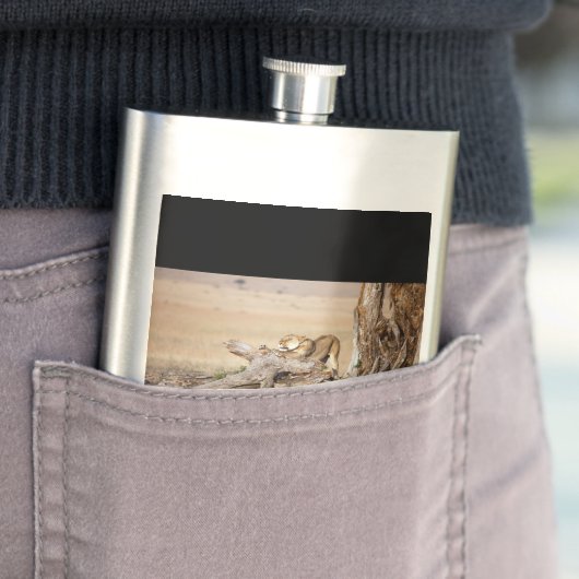 Lioness stretching flachmann (Beispiel)