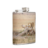 Lioness stretching flachmann (Rechts)