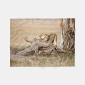 Lioness stretching fleecedecke (Vorderseite (Horizontal))