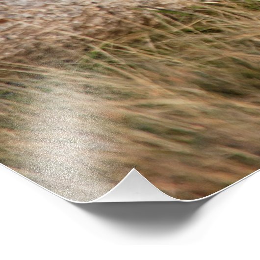 Lioness stretching fotodruck (Ecke)