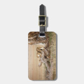 Lioness stretching gepäckanhänger (Vorderseite vertikal)