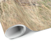 Lioness stretching geschenkpapier (Rolleneckpunkt)