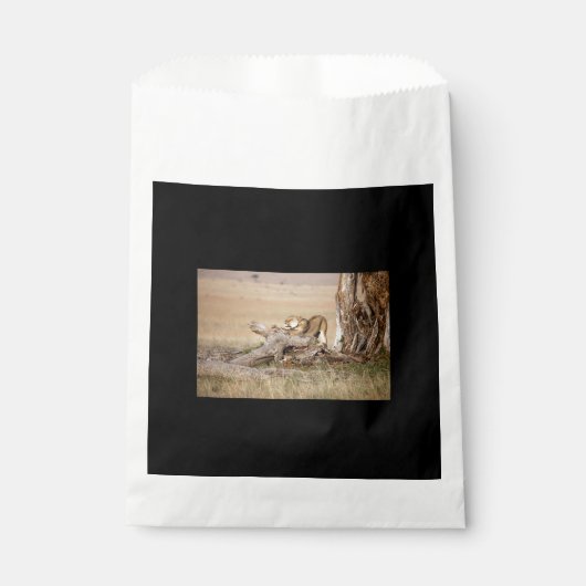 Lioness-Stretching Geschenktütchen (Vorderseite)