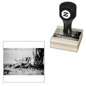 Lioness stretching gummistempel (Stempel)