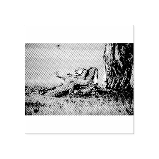 Lioness stretching gummistempel (Prägung)