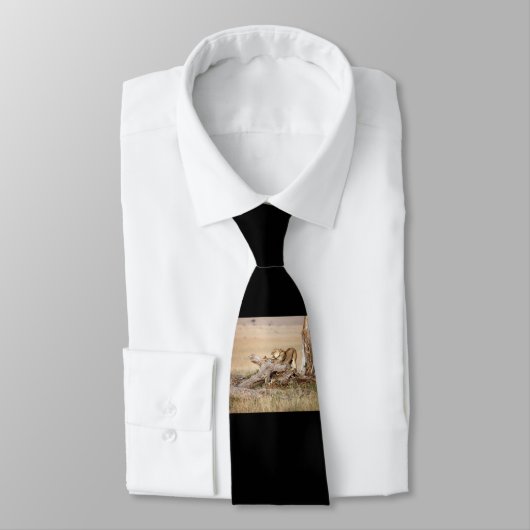 Lioness stretching krawatte (Gebunden)