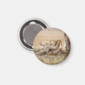Lioness stretching magnet (Vorderseite/Rückseite)