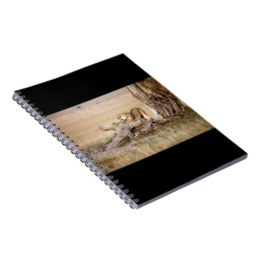 Lioness stretching notizblock (Rechte Seite)