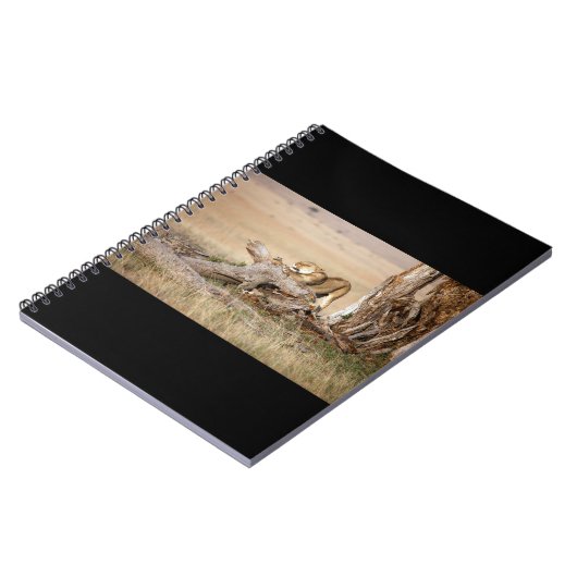 Lioness stretching notizblock (Linke Seite)