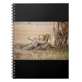 Lioness stretching notizblock (Vorderseite)