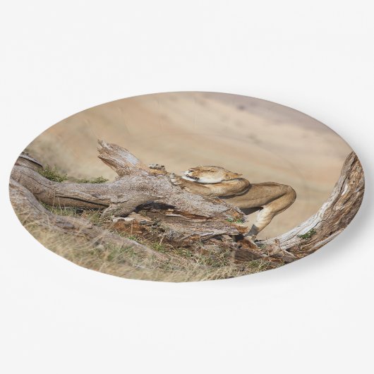 Lioness stretching pappteller (Schrägansicht)