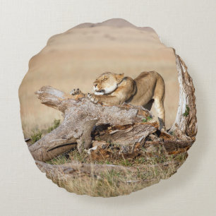 Lioness stretching rundes kissen