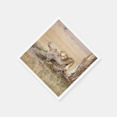 Lioness stretching serviette (Ecke)