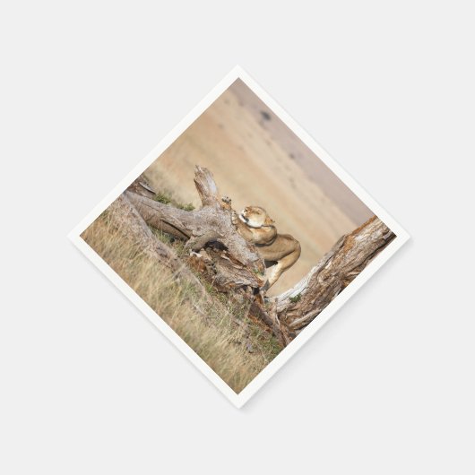 Lioness stretching serviette (Ecke)