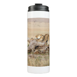 Lioness stretching thermosbecher