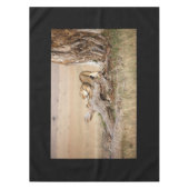 Lioness stretching tischdecke (Vorderseite)