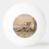 Lioness stretching tischtennisball (Vorderseite)